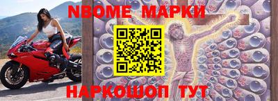 стафф Кингисепп