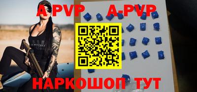 стафф Кингисепп