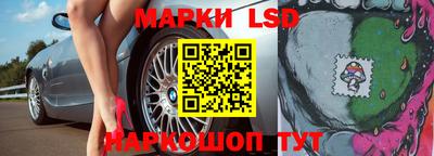 стафф Кингисепп