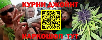 стафф Кингисепп