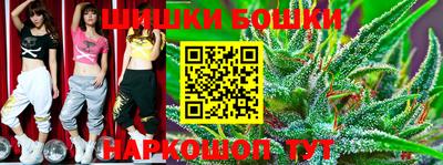 стафф Кингисепп