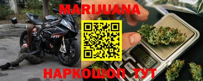 стафф Кингисепп