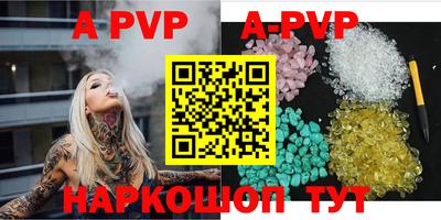 стафф Кингисепп