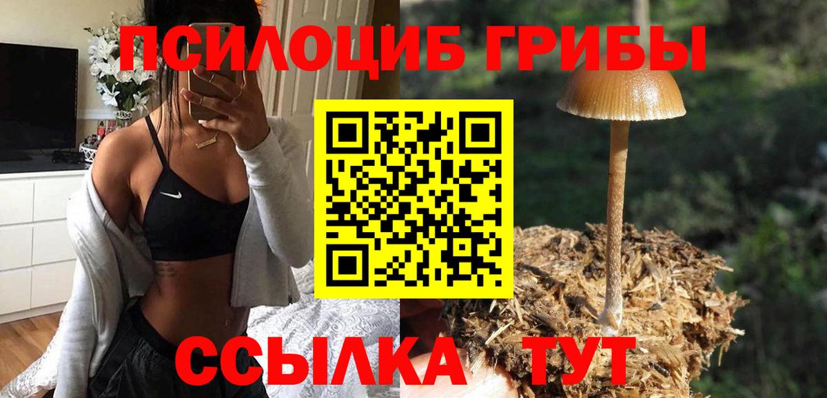 Псилоцибиновые грибы Psilocybe  Вход с VPN  Псилоцибиновые грибы Cubensis  Копейск 